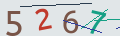 verifycode